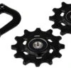 SRAM Innerer Käfig Mit Rollen Für X01 / X1 Schaltwerk
