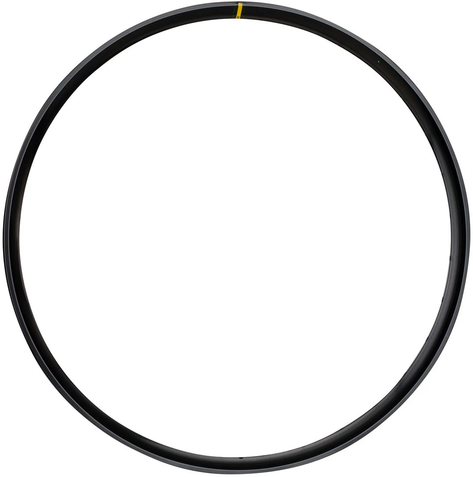 Mavic EX 828 Disc 29" Felge 1 Mavic EX 828 Disc 29" Felge