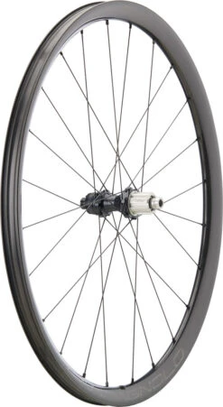 Campagnolo® Levante Carbon Disc Center Lock 28" Laufradsatz -Fahrradverkauf 474469